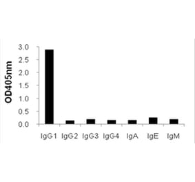 Cross-Reactivity Test - Anti-IgG1 Antibody (HRP) (031801A04H) - Antibodies.com