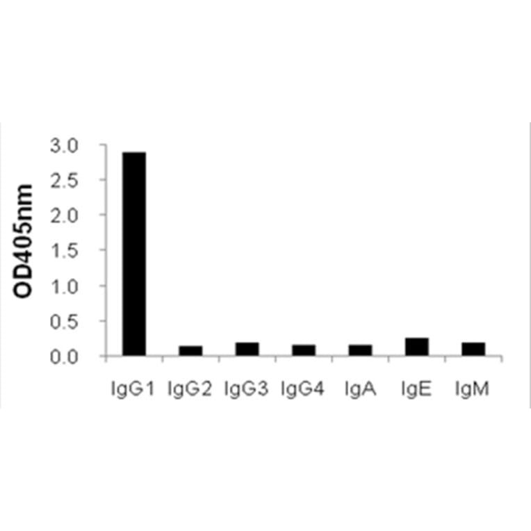Cross-Reactivity Test - Anti-IgG1 Antibody (HRP) (031801A04H) - Antibodies.com
