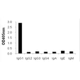 Cross-Reactivity Test - Anti-IgG1 Antibody (HRP) (031801A04H) - Antibodies.com