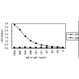 Sandwich ELISA - Anti-IgE Antibody (000104C03) - Antibodies.com