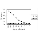 Sandwich ELISA - Anti-IgA Antibody (000104C06) - Antibodies.com