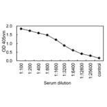 Sandwich ELISA - Anti-IgA Antibody (000104C06) - Antibodies.com