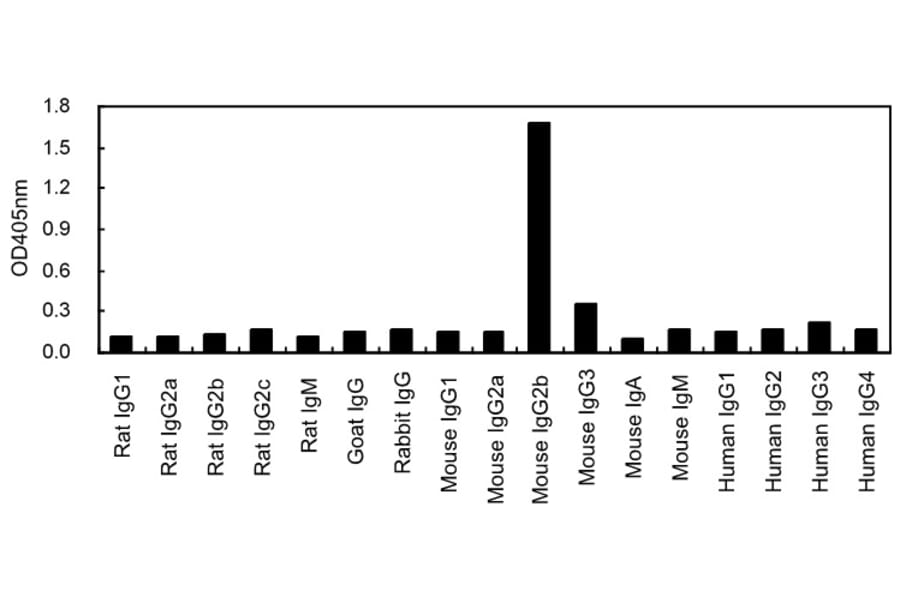 ELISA - Anti-IgG2b Antibody (HRP) (063308E12H) - Antibodies.com