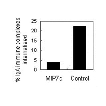 Validation Data - Anti-CD89 Antibody (010007C01) - Antibodies.com