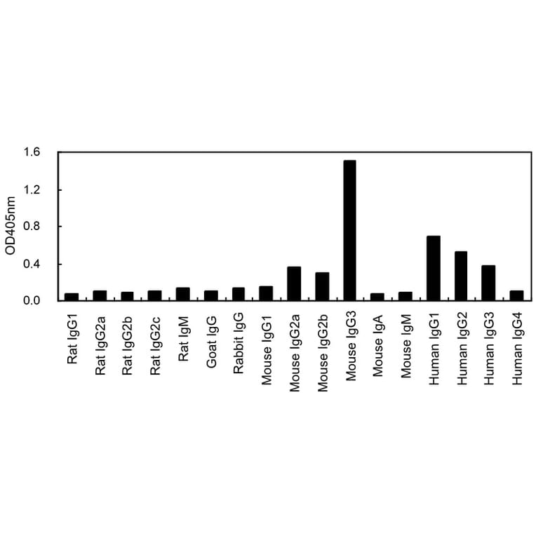 ELISA - Anti-IgG3 Antibody (HRP) (063308G01H) - Antibodies.com