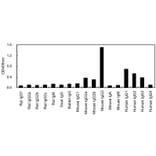 ELISA - Anti-IgG3 Antibody (HRP) (063308G01H) - Antibodies.com