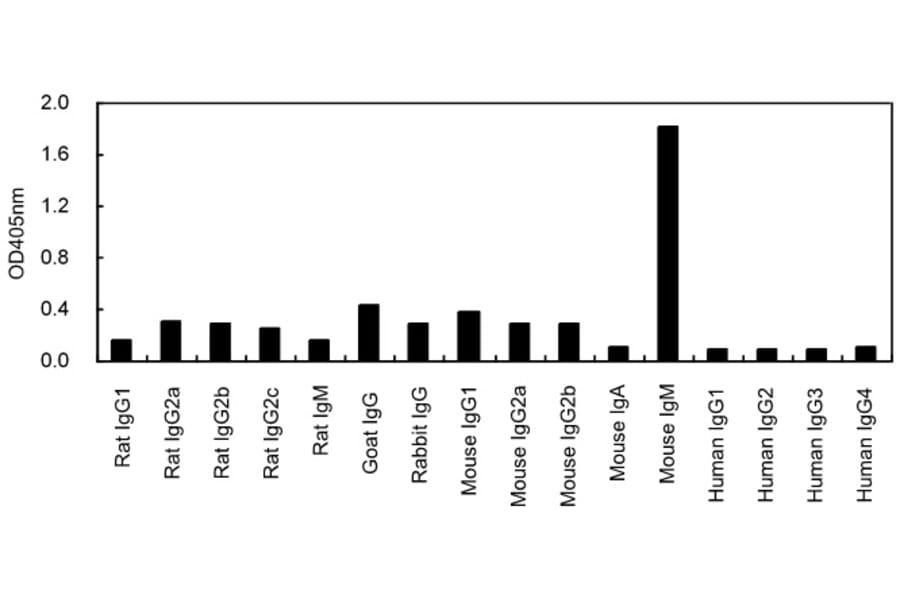 ELISA - Anti-IgM Antibody (HRP) (063703A08H) - Antibodies.com