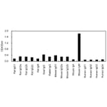 ELISA - Anti-IgM Antibody (HRP) (063703A08H) - Antibodies.com