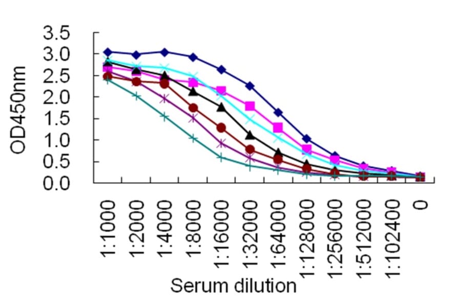 Sandwich ELISA - Anti-IgG4 Antibody (068709G12) - Antibodies.com