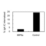 Validation Data - Anti-CD89 Antibody (010008A01) - Antibodies.com