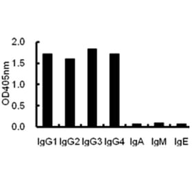 ELISA - Anti-IgG Antibody (068715G06) - Antibodies.com
