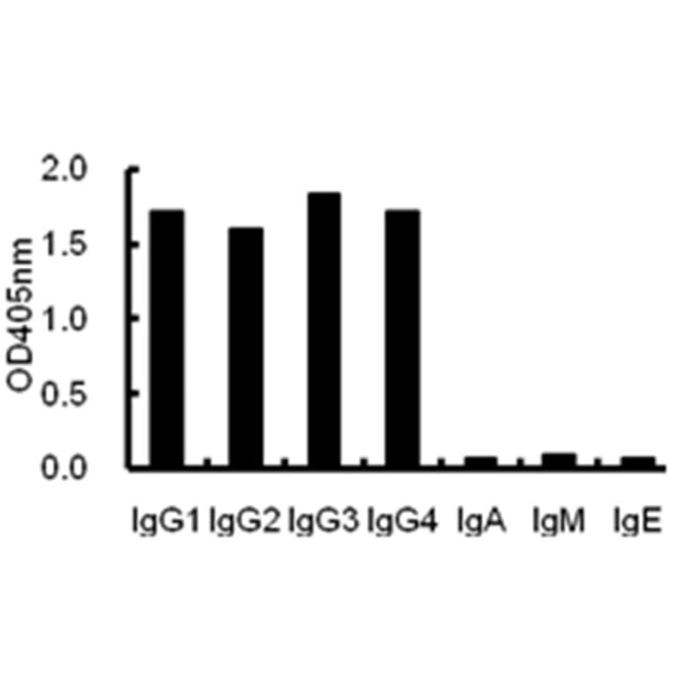 ELISA - Anti-IgG Antibody (068715G06) - Antibodies.com