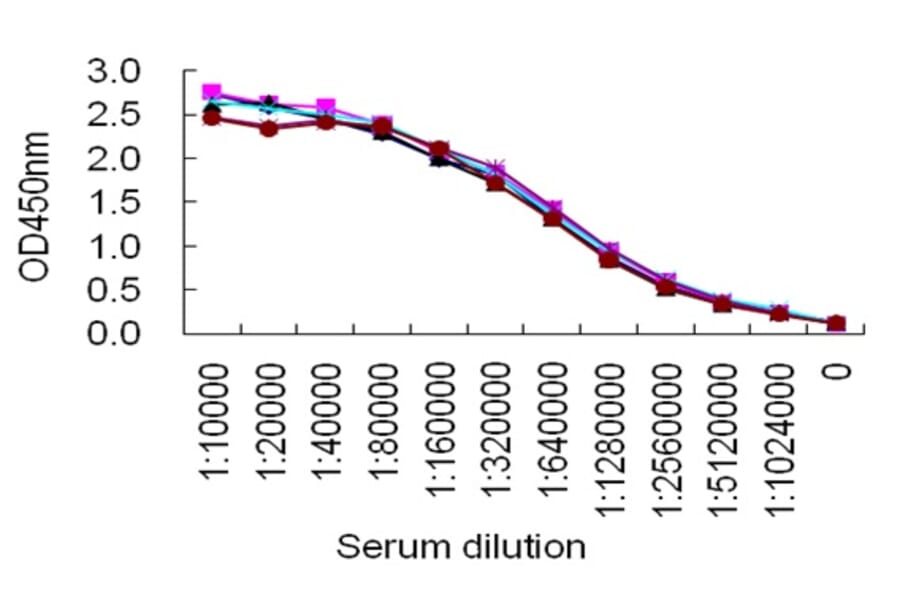 Sandwich ELISA - Anti-IgG Antibody (068715G06) - Antibodies.com