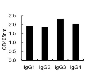 ELISA - Anti-IgG Antibody (HRP) (068805H01H) - Antibodies.com