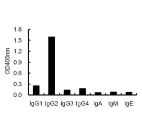 ELISA - Anti-IgG2 Antibody (068812D06) - Antibodies.com