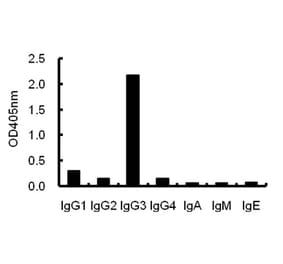 ELISA - Anti-IgG3 Antibody (068909H08) - Antibodies.com