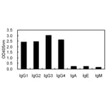 Cross-Reactivity Test - Anti-IgG Antibody (110308A10) - Antibodies.com
