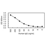 Sandwich ELISA - Anti-IgG Antibody (110308A10) - Antibodies.com