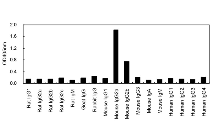 ELISA - Anti-IgG2a Antibody (HRP) (111711E12H) - Antibodies.com