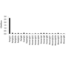 Cross-Reactivity Test - Anti-IgG1 Antibody (HRP) (115810E02H) - Antibodies.com