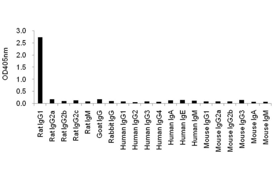 Cross-Reactivity Test - Anti-IgG1 Antibody (HRP) (115810E02H) - Antibodies.com