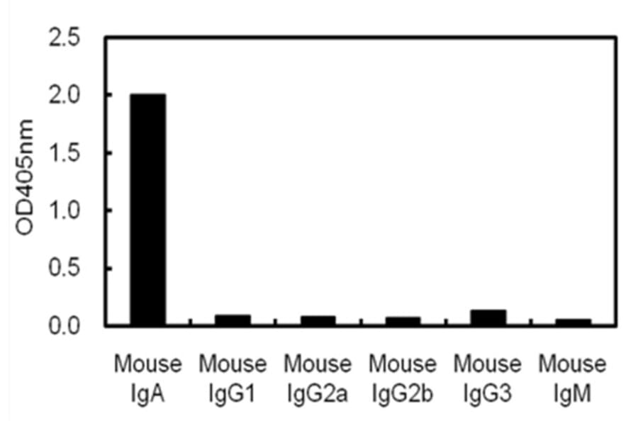 ELISA - Anti-IgA Antibody (116110B05) - Antibodies.com
