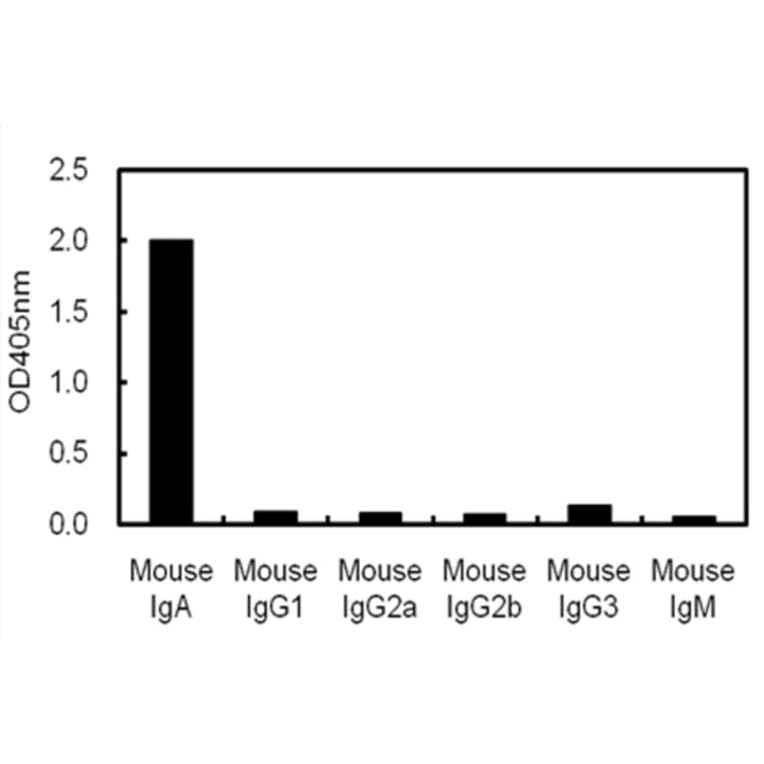 ELISA - Anti-IgA Antibody (116110B05) - Antibodies.com