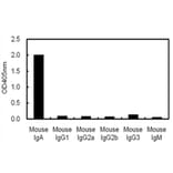 ELISA - Anti-IgA Antibody (116110B05) - Antibodies.com