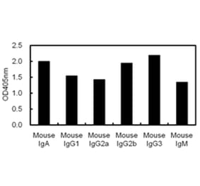 ELISA - Anti-Ig Kappa Light Chain Antibody (116111C10) - Antibodies.com