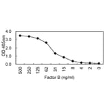 Sandwich ELISA - Anti-Factor B Antibody (HRP) (010105E10H) - Antibodies.com