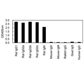 ELISA - Anti-Ig Kappa Light Chain Antibody (HRP) (161601D09H) - Antibodies.com