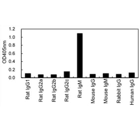 ELISA - Anti-IgM Antibody (HRP) (161608B08H) - Antibodies.com