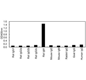 ELISA - Anti-IgM Antibody (HRP) (161611F09H) - Antibodies.com