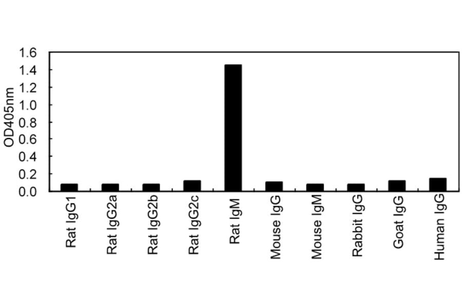 ELISA - Anti-IgM Antibody (HRP) (161611F09H) - Antibodies.com