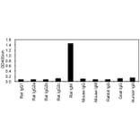ELISA - Anti-IgM Antibody (HRP) (161611F09H) - Antibodies.com
