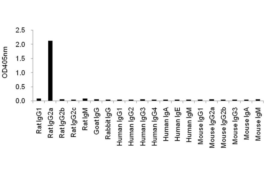 Cross-Reactivity Test - Anti-IgG2a Antibody (HRP) (166603F04H) - Antibodies.com