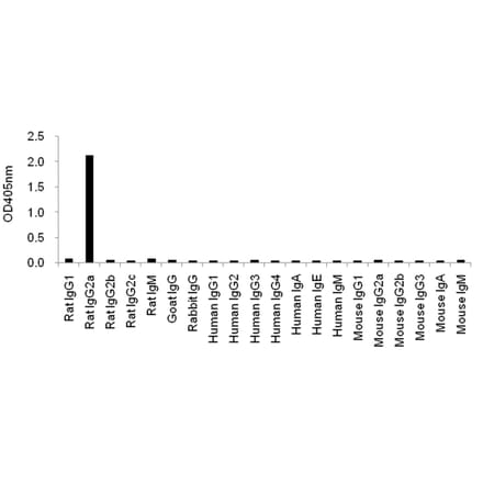 Cross-Reactivity Test - Anti-IgG2a Antibody (HRP) (166603F04H) - Antibodies.com