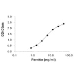Sandwich ELISA - Anti-Ferritin Antibody (168215A10) - Antibodies.com