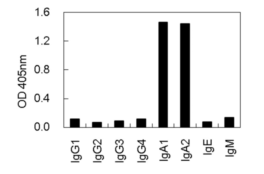 Cross-Reactivity Test - Anti-IgA Antibody (010106E09) - Antibodies.com