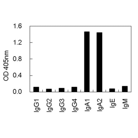 Cross-Reactivity Test - Anti-IgA Antibody (010106E09) - Antibodies.com