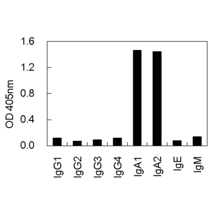 Cross-Reactivity Test - Anti-IgA Antibody (010106E09) - Antibodies.com