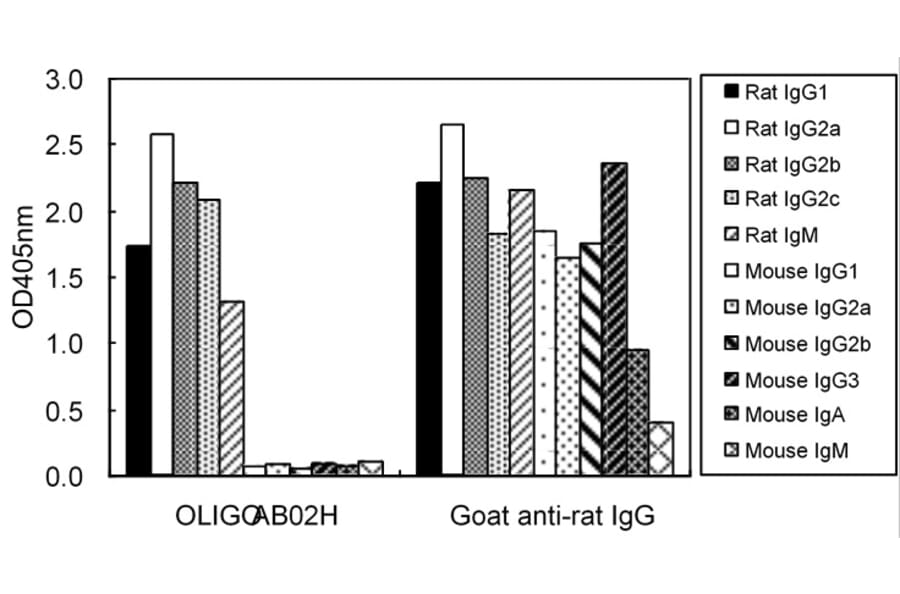 ELISA - Anti-IgG (H&L) Antibody (HRP) (OLIGOAB02H) - Antibodies.com