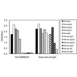 ELISA - Anti-IgG (H&L) Antibody (HRP) (OLIGOAB02H) - Antibodies.com
