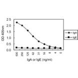 Sandwich ELISA - Anti-IgA Antibody (HRP) (010106E09H) - Antibodies.com