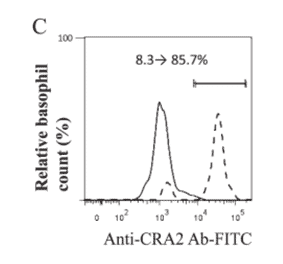 Levels of binding of CRA2 antibody measured via basophil staining with or without lactic acid treatment by flow cytometric analysis. Dashed and solid lines mean with and without lactic acid treatment, respectively. The levels of CRA2 on basophils in the patient 1 (grade 3 allergy) are in A.
