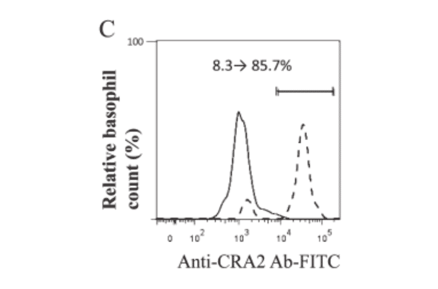 Levels of binding of CRA2 antibody measured via basophil staining with or without lactic acid treatment by flow cytometric analysis. Dashed and solid lines mean with and without lactic acid treatment, respectively. The levels of CRA2 on basophils in the patient 1 (grade 3 allergy) are in A.