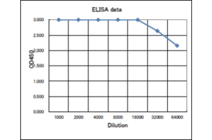 Titration of antibody reactivity of Anti-Rad51 Antibody by ELISA. Plate was coated with 100µg of recombinant Rad51 protein (S. cerevisiae) per well and 100µl of the antiserum at the indicated dilution was added to each well and incubated. After washing, Goat Anti-Rabbit IgG (HRP) was added as secondary antibody. Color was developed with TMB as substrate.