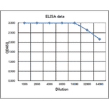 Titration of antibody reactivity of Anti-Rad51 Antibody by ELISA. Plate was coated with 100µg of recombinant Rad51 protein (S. cerevisiae) per well and 100µl of the antiserum at the indicated dilution was added to each well and incubated. After washing, Goat Anti-Rabbit IgG (HRP) was added as secondary antibody. Color was developed with TMB as substrate.