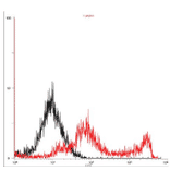 4. Flow cytometry analysis of gQ1 expression on the cell surface in a transient expression system. 293T cells were transfected with gQ1 expression plasmid. The cells were harvested on second day postinfection, fixed with 4% PFA, permeabilized with 0.1% Triton-X100, incubated with anti-gQ1 antibody (119) and then with FITC-conjugated anti-mouse IgG antibody. Histograms show fluorescence intensities measured in arbitrary units on a log scale (x axis) and relative cell numbers on a linear scale (y axis). Black line is control and red line is gQ1 introduced cells.