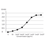 Fig.4. ELISA using anti-VZV gE (#9) monoclonal antibody.